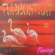 Turbostaat Flamingo CD
