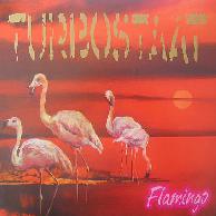 Turbostaat Flamingo LP